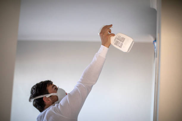Best Home Mold Removal  in Greenwood, PA