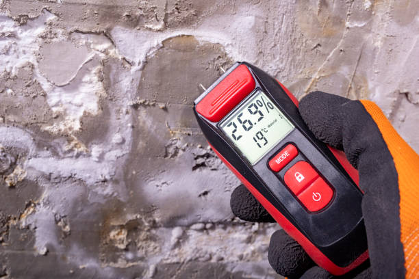 Best Water Damage Restoration  in Greenwood, PA