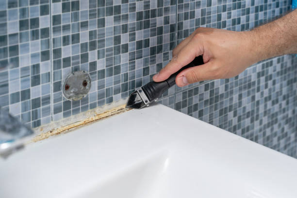 Mold Removal Process in Greenwood, PA