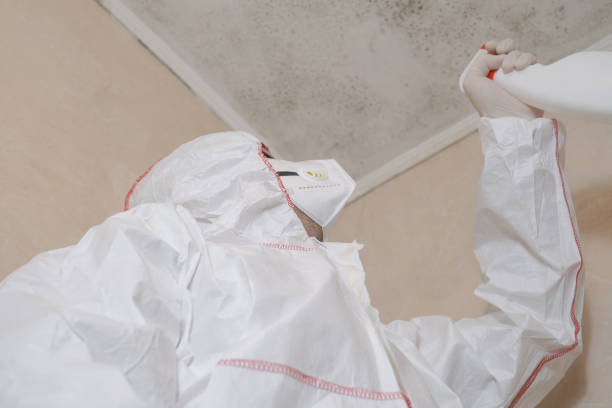 Best Office Mold Removal Services  in Greenwood, PA